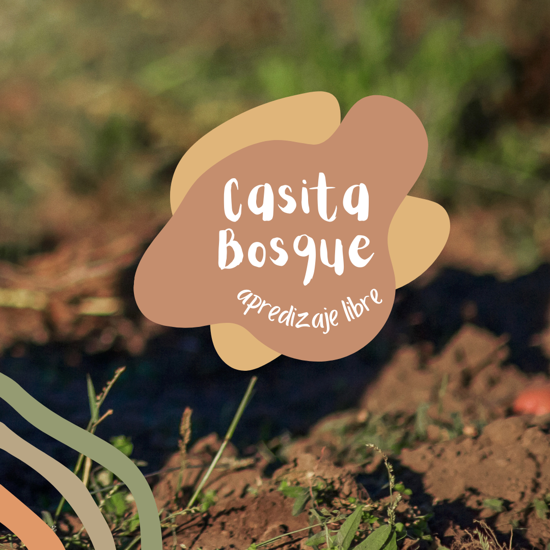 TALLER DE VERANO: Casita bosque